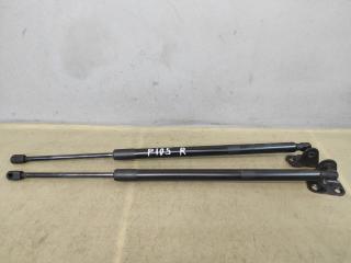 амортизатор крышки багажника (3-5 двери) Ford Escape 4 поколение CX482 2021, 2.5 л., гибрид, АКПП, внедорожник 5 дв., полный привод, LJ6BS406A10AC, LJ6BS406A11AC