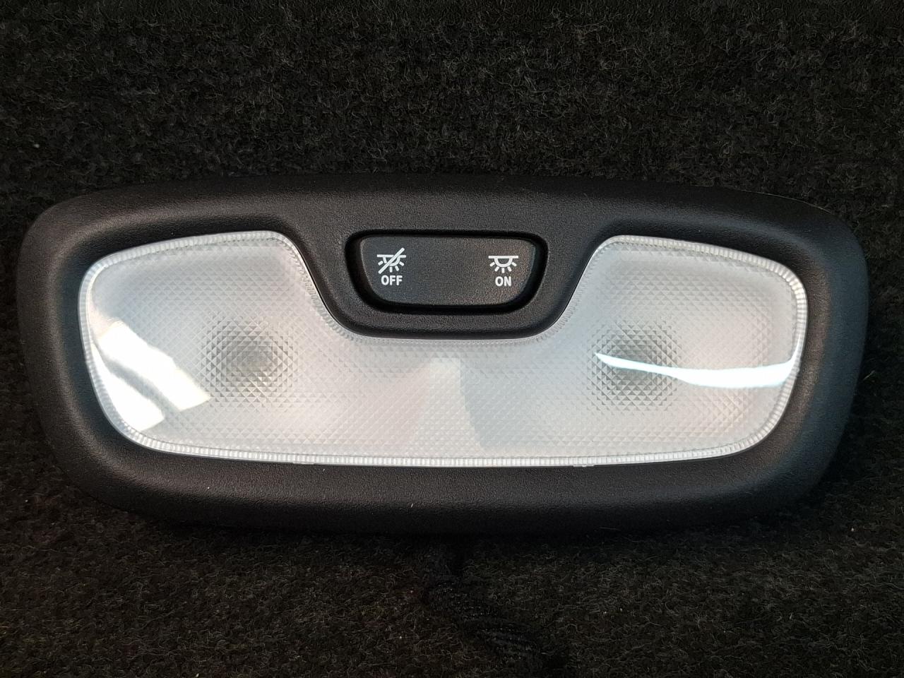 фонарь салона (плафон) Buick Envista 1 поколение 2024, 1.2 л., бензин, АКПП, синий, хетчбэк 5 дв., передний привод, 87839877 - фото №1