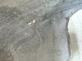 защита арок задняя левая (подкрылок) Toyota Camry 7 поколение XV40 ACV40 (2006 - 2009), 3.5 л., 2GR-FE, бензин, АКПП, серо-голубой, седан, передний привод - фото №8