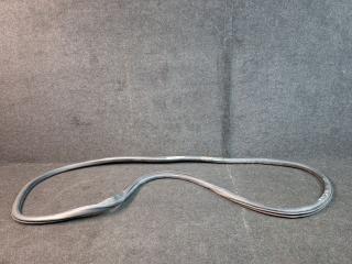 уплотнитель двери Ford Edge 2 поколение CD539 [рестайлинг] 2020, 2.0 л., бензин, АКПП, красный, внедорожник 5 дв., полный привод