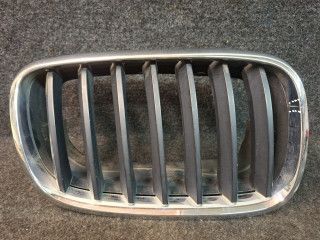 заглушка (решетка) в бампер BMW X5 E70 2008, 3.0 л., дизель, АКПП, серый, внедорожник 5 дв., полный привод, правый руль, 51137171396