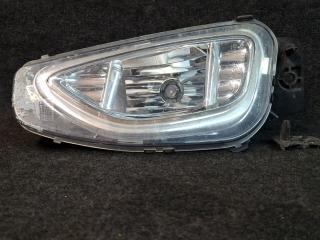 фара противотуманная правая Ford Escape 4 поколение CX482 2020, 2.0 л., бензин, АКПП, белый az, внедорожник 5 дв., полный привод, LJ6B-15A254-AC