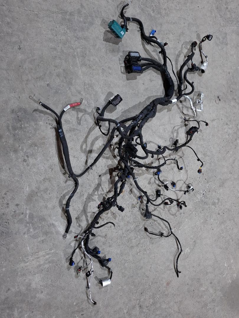 проводка двигателя Cadillac XT4 1 поколение 2020, 2.0 л., бензин, АКПП, 318e, полный привод, 84524531 - фото №1