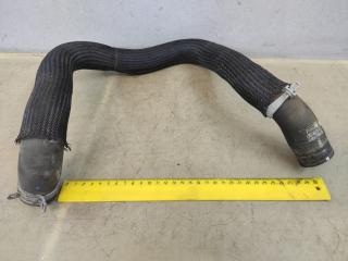 патрубок радиатора Ford Escape 4 поколение CX482 2021, 2.5 л., гибрид, АКПП, внедорожник 5 дв., полный привод, LX618B273HAC