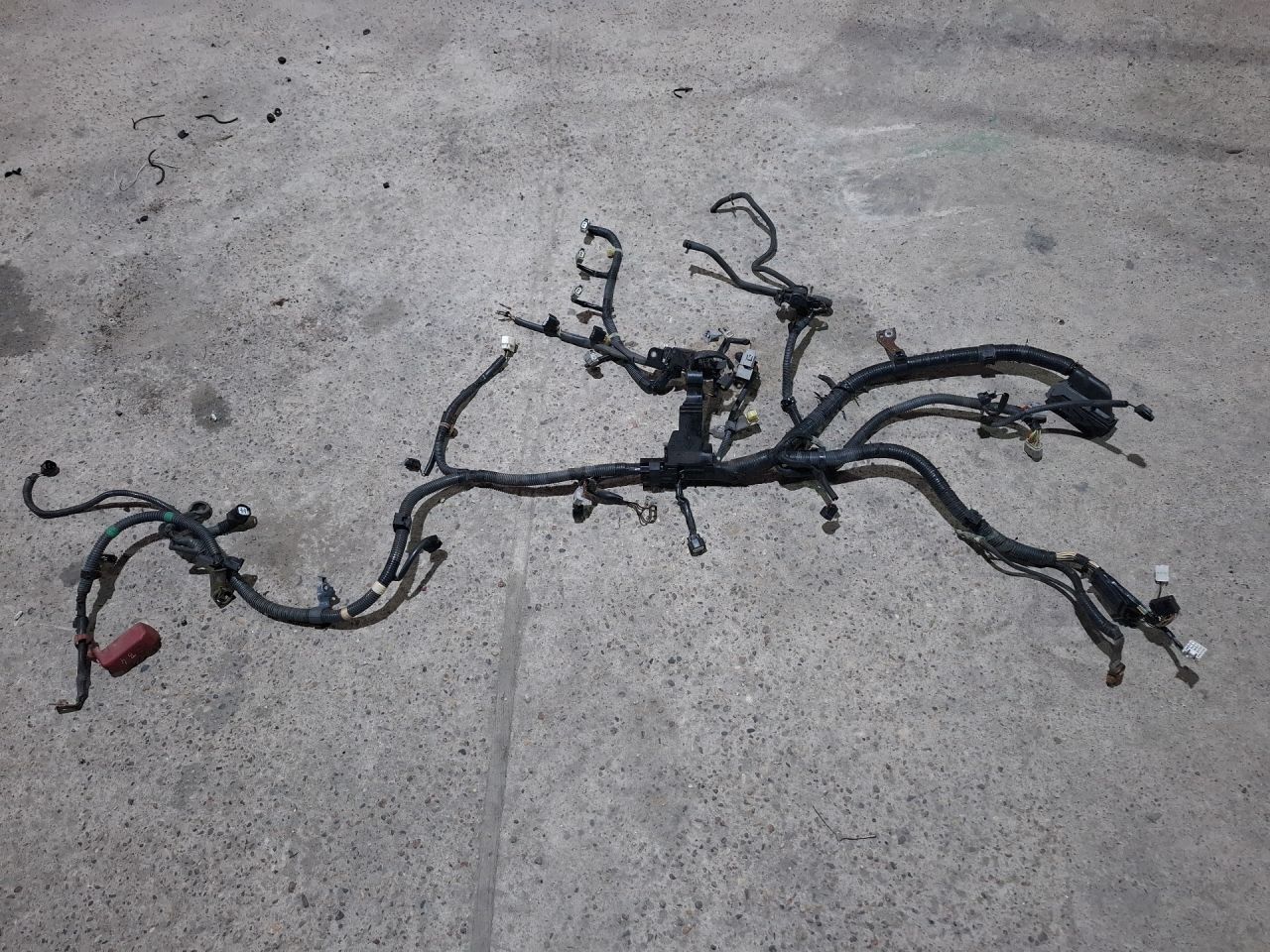 проводка двигателя Toyota Camry 7 поколение XV40 ACV40 2009, 2.4 л., 2AZ-FE, бензин, АКПП, синий, седан, передний привод - фото №1