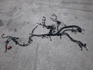 проводка двигателя Toyota Camry 7 поколение XV40 ACV40 2009, 2.4 л., 2AZ-FE, бензин, АКПП, синий, седан, передний привод