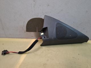 динамик Volkswagen Tiguan 1 поколение [рестайлинг] 2013