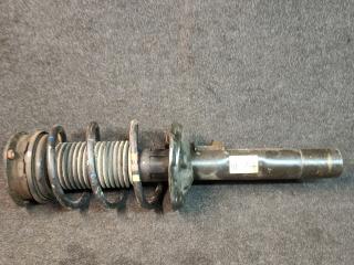 амортизатор передний левый Volkswagen Tiguan 2 поколение 2020, 2.0 л., бензин, АКПП, серый, полный привод, 50F413031AS