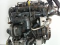 двигатель Ford Transit 7 поколение 2007, 2.2 л., TDCi, P8FA, дизель, 5МКПП, микроавтобус, передний привод, P8FA - фото №2