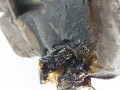 двигатель Opel Meriva 2 поколение (B) 2011, 1.4 л., i, A 14 XER, бензин, 5МКПП, минивэн, передний привод, A14XER - фото №9