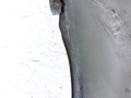 крыло переднее правое Saab 9-3 2 поколение [рестайлинг] 2008, 1.9 л., CDTi, Z19DTH, дизель, АКПП, седан, передний привод, 12769231 - фото №10