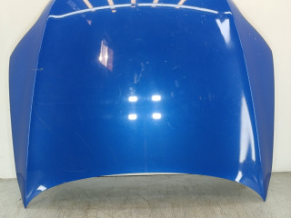 капот Audi Q7 4L 2007, 3.0 л., TDi, BUG, дизель, АКПП, внедорожник 5 дв., полный привод, 4L0823029A