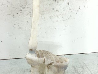 бачок омывателя Renault Master 3 поколение [рестайлинг] 2015, 2.3 л., DCi, M9T 870, дизель, 6МКПП, микроавтобус, передний привод, правый руль, 2891000023R