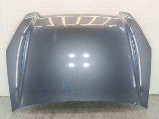 капот Honda CR-V 2 поколение [рестайлинг] 2005, 2.2 л., CDTi, N22A2, дизель, 6МКПП, внедорожник 5 дв., полный привод, 60100SKNE00ZZ