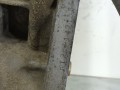 двигатель Suzuki Swift 4 поколение 2012, 1.2 л., i, K12B, бензин, АКПП, хетчбэк 3 дв., передний привод, K12B - фото №5
