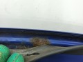 капот Mazda 6 GH 2008, 2.0 л., TDi, дизель, 6МКПП, хетчбэк 5 дв., передний привод - фото №4