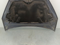 капот Ford S-Max 1 поколение 2008, 2.0 л., TDCi, QXWA, дизель, 6МКПП, серый, минивэн, передний привод, правый руль - фото №4