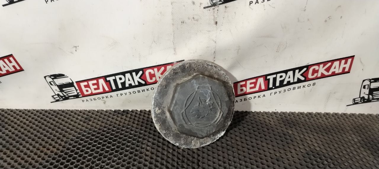 крышка ступицы Scania R 5 серия 2014, 12.7 л., DC 13.115, дизель, АКПП, blue mediterranean, задний привод, 1361859, 1361860, 1864221, 2734965, 1868663, 1724406, 1480933, 1391369, 1378698, 1868674, 1724407, 1414154, 1403040, 1382774, 1371596, 1370239, 1364304, 1358789, 1351829, 1339678 - фото №1
