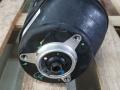 пневмостойка передняя BMW X7 G07 [рестайлинг] G07 2024, 4.0 л., дизель, АКПП, 416, внедорожник 5 дв., полный привод, 7831561 - фото №2
