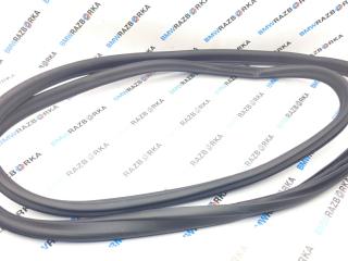 уплотнитель двери BMW M2 G87 2024, S58B30A, АКПП, купе, задний привод, 7482813