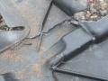 защита двигателя BMW M3 G80/G81 G80 2023, S58B30A, АКПП, x1e, полный привод, 8074612 - фото №5
