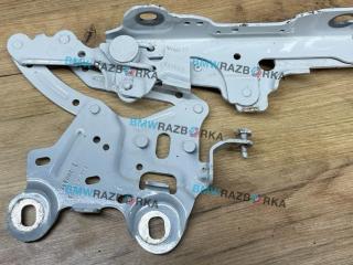 петля капота левая BMW X1 F48 [рестайлинг] F48 2019, 1.5 л., бензин, 6МКПП, a300, внедорожник 5 дв., передний привод, правый руль, 7329441