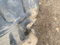 защита арок передняя правая (подкрылок) Mercedes-Benz Sprinter W907/W910 W907 2023, 2.0 л., OM 654.920, дизель, АКПП, фургон, задний привод, A9076845605, 9076845605 - фото №2