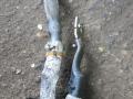 плюсовой провод аккумулятора BMW M2 G87 2024, S58B30A, АКПП, купе, задний привод, 5A112C8, 5A112C6 - фото №3