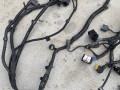 проводка двигателя BMW X7 G07 [рестайлинг] G07 2024, 4.0 л., дизель, АКПП, 416, внедорожник 5 дв., полный привод, 9887452, 9887450, 7380487, 9887438, 9887449 - фото №5