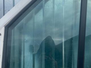 стекло двери передней левой Volkswagen Crafter 2 поколение 2019, 2.0 л., дизель, МКПП, фургон, передний привод