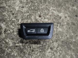 кнопка открытия багажника BMW X6 F16 2018, 4.0 л., дизель, АКПП, внедорожник 5 дв., полный привод, 9275121