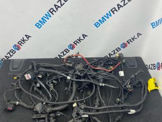 проводка двигателя BMW 3 серия F30/F31 [рестайлинг] F30 2018, 2.0 л., гибрид, АКПП, седан, задний привод, 8636067, 8636065, 8669731