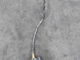 разъем (фишка) проводки BMW Z4 G29 2020, 2.0 л., B48 B20 B, бензин, АКПП, san francisco rot metallic (c34), родстер, задний привод, 8364620