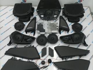комплект акустики BMW X7 G07 [рестайлинг] G07 2023, 3.0 л., B58B30P, бензин, АКПП, 475, внедорожник 5 дв., полный привод, 6809632, 6813597, 5A5CA89, 2622518, 2622517, 9399276, 7445518, 7445517, 9072600, 2622521, 2622522, 5A9BF92, 183534