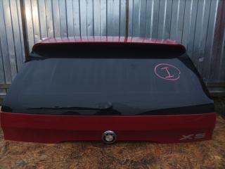 крышка багажника (дверь 3-5) BMW X5 E53 [рестайлинг] 2004, 3.0 л.