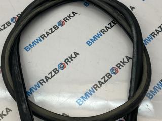 уплотнитель подкапотного пространства BMW M5 F90 2019, 4.4 л., S63 B44 B, бензин, АКПП, седан, полный привод, 7349599