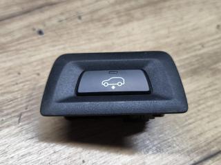кнопка переключения режимов подвески BMW X6 G06 2020, 3.0 л., B57 D30 A, дизель, АКПП, внедорожник 5 дв., полный привод, 6821911, 61316821911