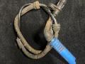 датчик ABS BMW X5 E53 2000, 6908705 - фото №2