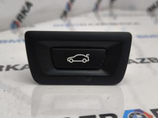 кнопка открытия багажника BMW X6 F16 2015, 3.0 л., N57 D30 C, дизель, АКПП, a96, внедорожник 5 дв., полный привод, 61319275119, 9275119