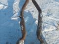 глушитель BMW M4 G82/G83 G83 2023, S58B30A, АКПП, c3z, кабриолет, полный привод, 8096118, 8096117, 8096120 - фото №9