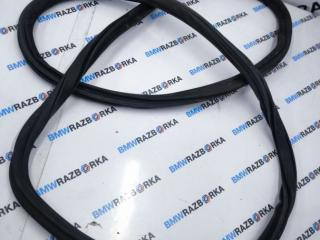 уплотнитель двери BMW 8 Gran Coupe G16 2022, 3.0 л., бензин, седан, задний привод, правый руль, 7435439