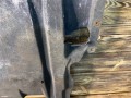 защита двигателя BMW 7 серия F01/F02 F01 2009, 3.0 л., N57 D30 A, дизель, АКПП, седан - фото №4