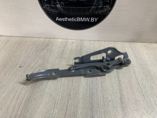 петля крышки багажника BMW 3 серия E90/E91 [рестайлинг] E90 2010, 3.0 л., N57 D30 A, дизель, АКПП, седан, 7060627