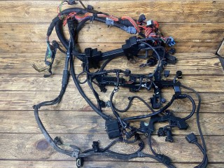 проводка двигателя BMW 3 серия E46 [рестайлинг] E46/2 2004, 2.0 л., N46 B20 A, бензин, МКПП, купе