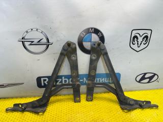 петля крышки багажника Ford Focus 1 поколение [рестайлинг] 2004, 1.6 л., бензин, МКПП, хетчбэк 5 дв.