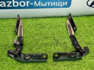 петля капота Ford Focus 1 поколение [рестайлинг] CAK 2004, 1.6 л., CCA, бензин, МКПП, седан, передний привод, XS41-16801-AF