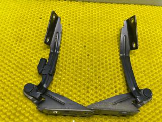 петля крышки багажника Ford Focus 1 поколение 2001, 2.0 л., EDDB, бензин, АКПП, седан, XS41-16801-AF