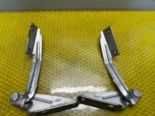 петля капота Ford Focus 1 поколение [рестайлинг] 2004, 1.8 л., EYDC, бензин, МКПП, седан, XS41-16801-AF