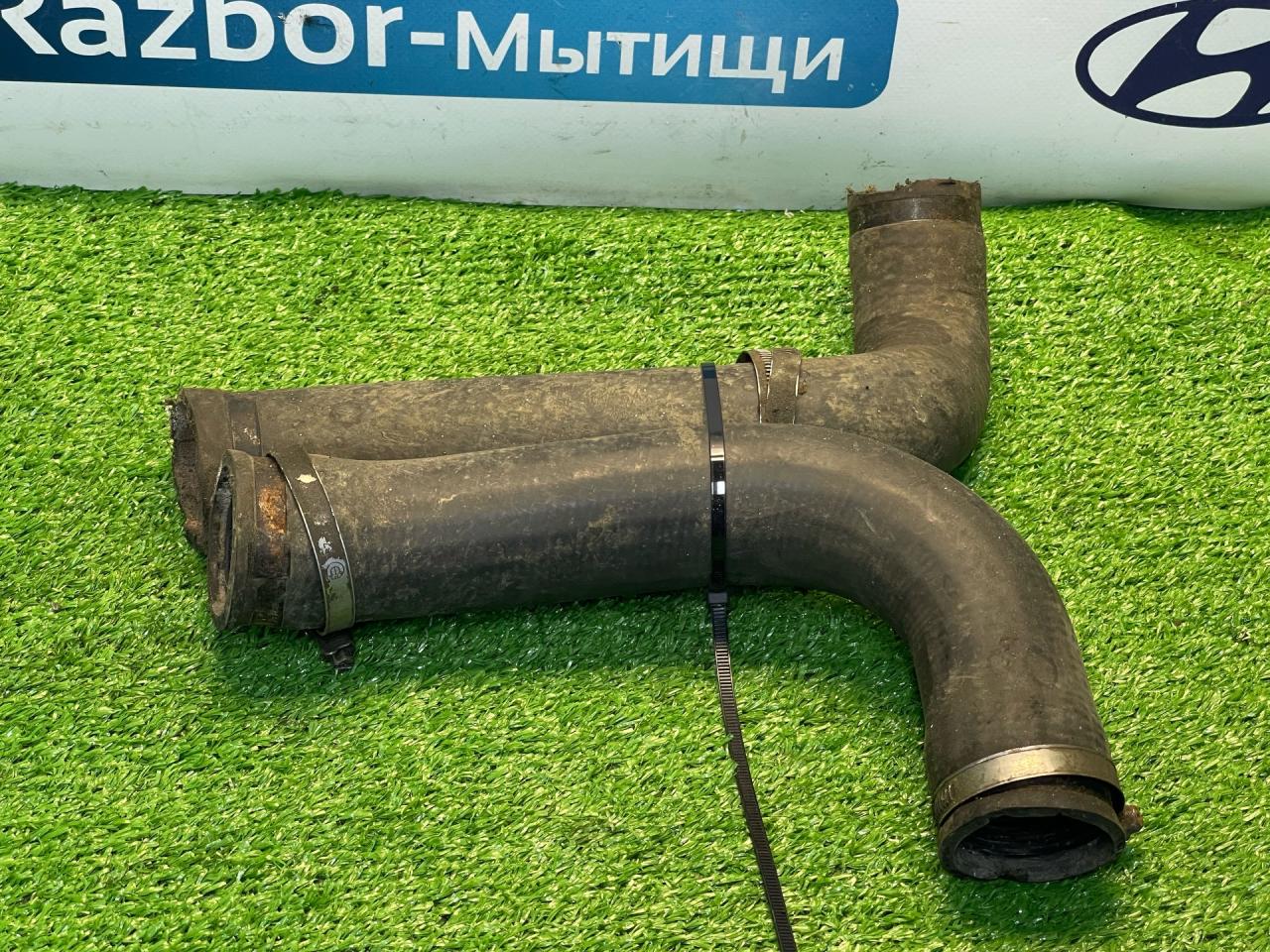 патрубок радиатора BMW 5 серия E34 1991, 2.0 л., M50 B20, бензин, МКПП, седан, задний привод - фото №1