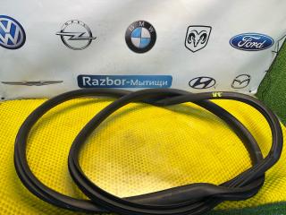 уплотнитель двери Hyundai Getz 1 поколение 2005, 1.3 л., G4EA, бензин, МКПП, красный, передний привод